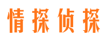 坡头市婚姻调查